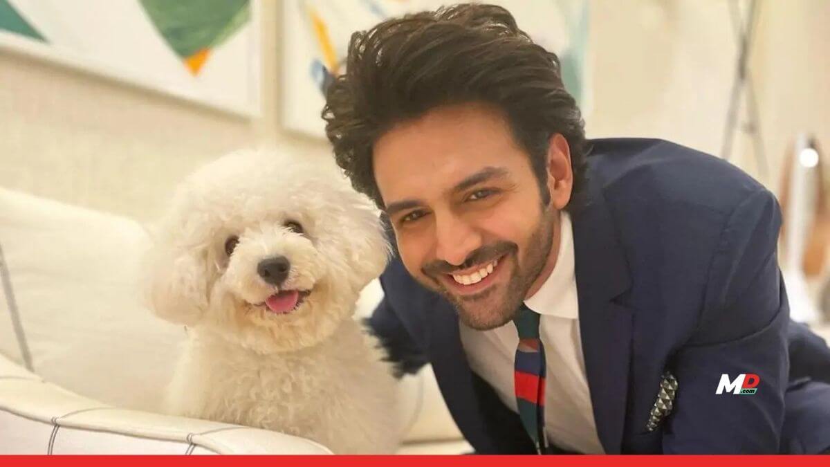 National pet day special: Bollywood stars and their cutest off-screen pet bonds 