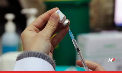 Maharashtra on alert over Japanese Encephalitis