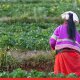 Delay in MGNREGA work may invite action