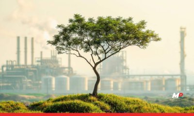 India’s carbon market faces offsets, risk test