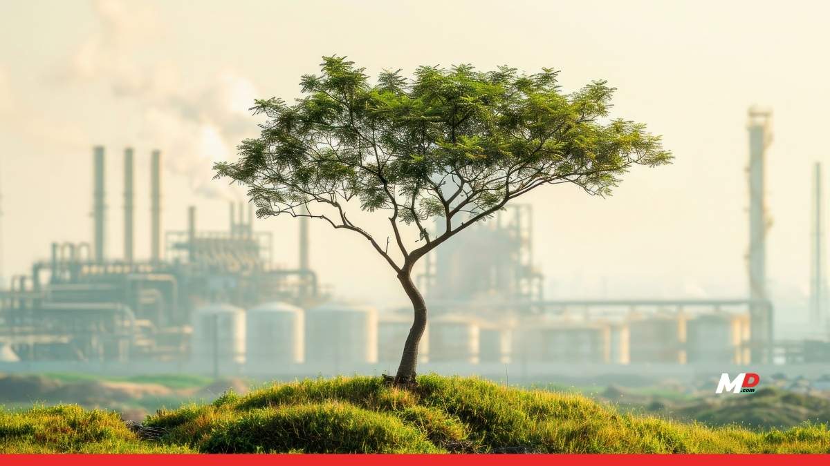 India’s carbon market faces offsets, risk test