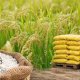 Central Government Approves Higher Fertilizer Subsidies for 2026 Kharif Season