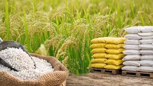 Central Government Approves Higher Fertilizer Subsidies for 2026 Kharif Season