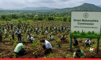 Maharashtra forms Green Maharashtra Commission