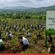 Maharashtra forms Green Maharashtra Commission
