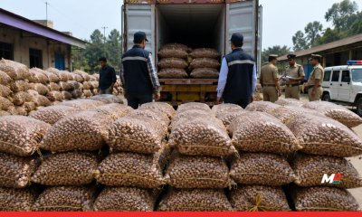 DRI seizes 60,000 kg smuggled areca nuts