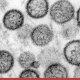 Should you worry about Hantavirus?