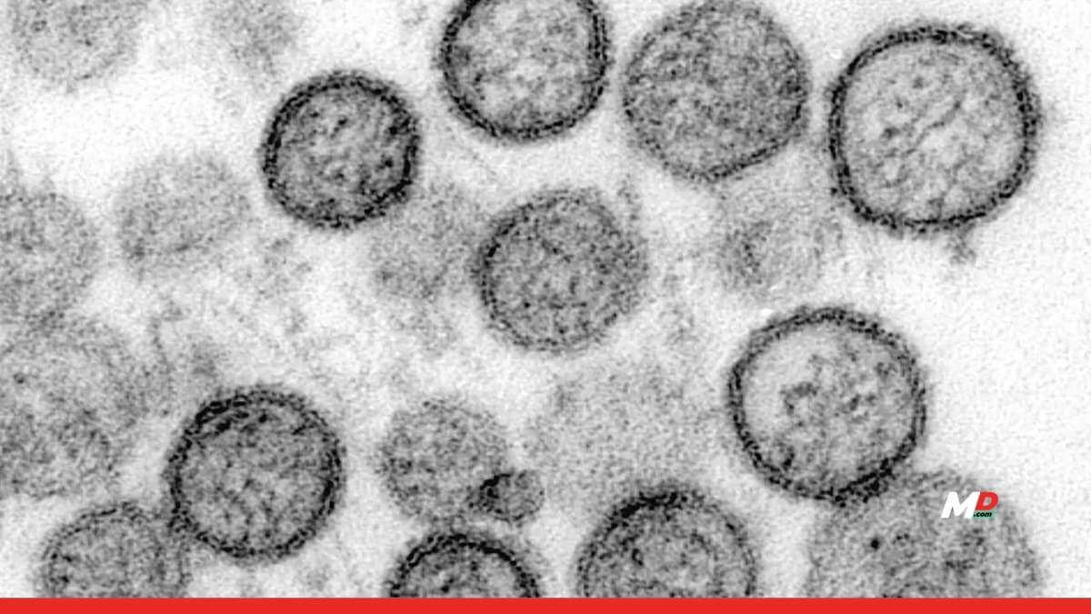 Should you worry about Hantavirus?