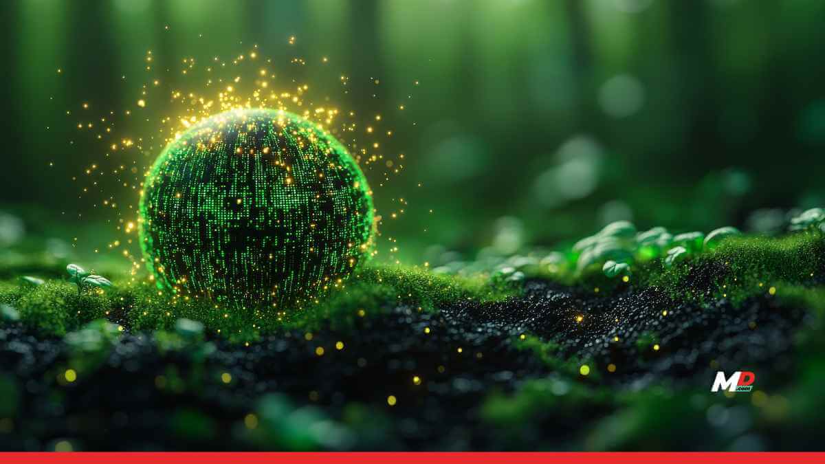 Climate Tech Could Become India’s Defining Green Bet