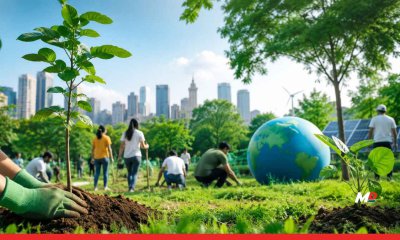 Delhi Targets 1.5 Million Trees Under Green Drive
