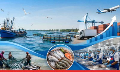 India Unveils Roadmap to Boost Seafood Exports