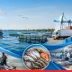 India Unveils Roadmap to Boost Seafood Exports