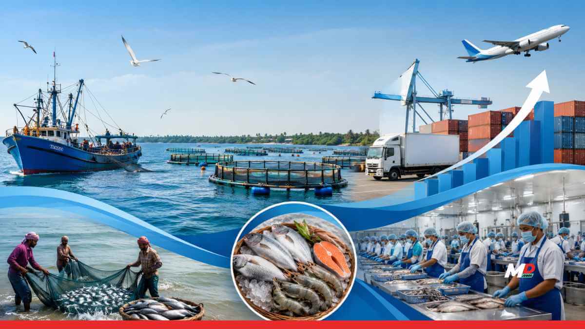 India Unveils Roadmap to Boost Seafood Exports