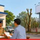 FIR Sought Over Illegal Pruning of 63 Trees