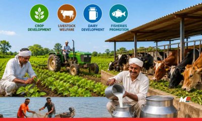 Maharashtra Allocates ₹1,237 Cr for Agriculture Sector