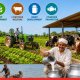 Maharashtra Allocates ₹1,237 Cr for Agriculture Sector
