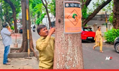 BMC Urges Citizens to Avoid Standing or Parking Under Trees During Heavy Rains