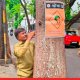 BMC Urges Citizens to Avoid Standing or Parking Under Trees During Heavy Rains