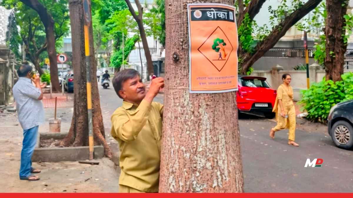 BMC Urges Citizens to Avoid Standing or Parking Under Trees During Heavy Rains