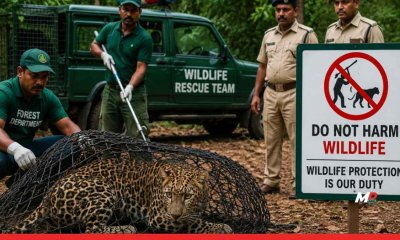 Ganesh Naik Warns Against Wild Animal Stunts