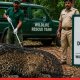 Ganesh Naik Warns Against Wild Animal Stunts