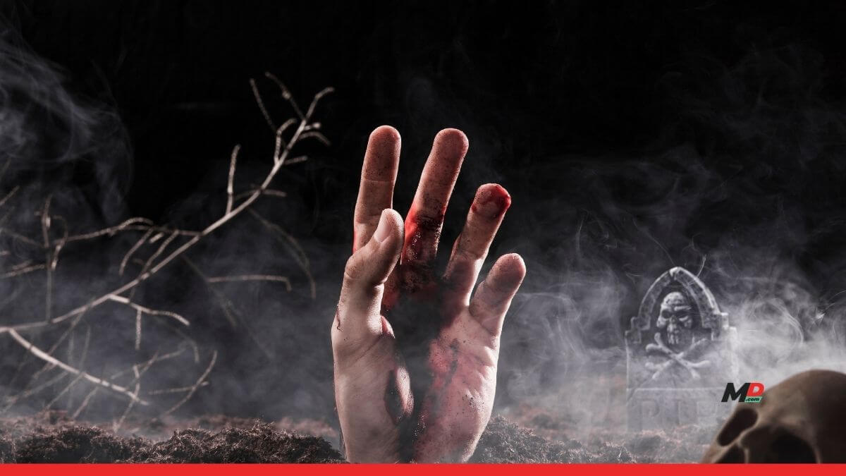 Love horror? These 7 Netflix films deserve a spot on your watchlist tonight