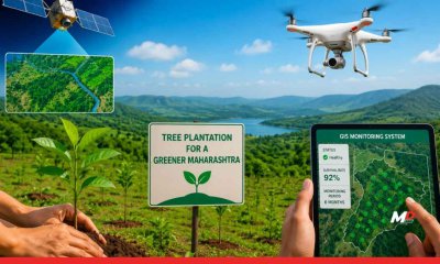 Maharashtra to Monitor Tree Plantation Using Tech