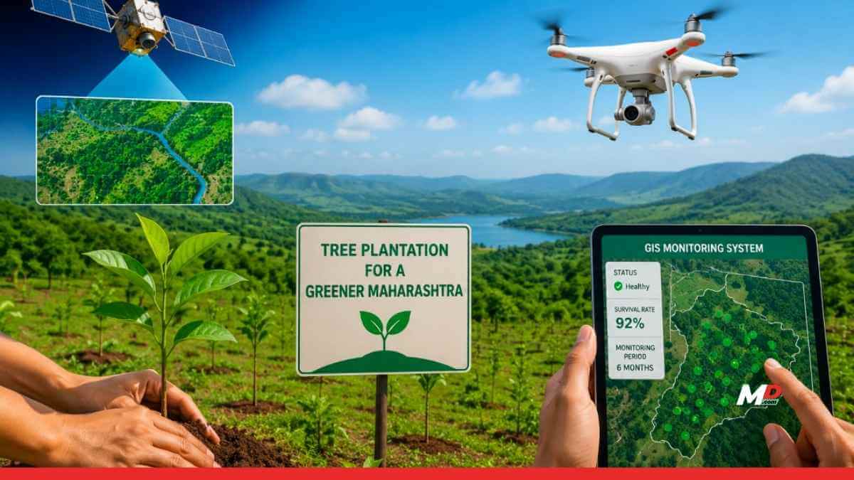 Maharashtra to Monitor Tree Plantation Using Tech