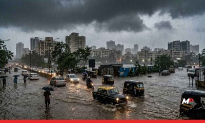 Maharashtra Rain: Palghar Gets 203 mm, Mumbai Flooded