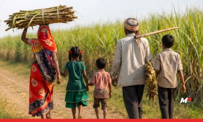 Child Care Homes for Migrant Sugarcane Workers’ Children