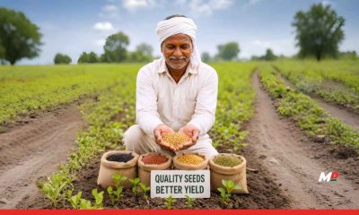 Maharashtra to Introduce Comprehensive Seed Policy