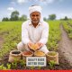 Maharashtra to Introduce Comprehensive Seed Policy