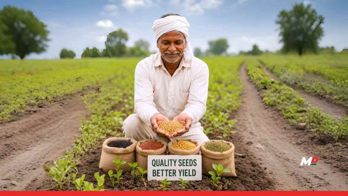 Maharashtra to Introduce Comprehensive Seed Policy