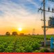 Maharashtra to Waive ₹48,000 Crore in Farmers’ Power Dues
