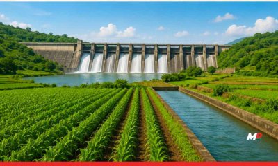 Maharashtra Waives Farmers’ Power Dues, Boosts Irrigation