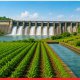 Maharashtra Waives Farmers’ Power Dues, Boosts Irrigation
