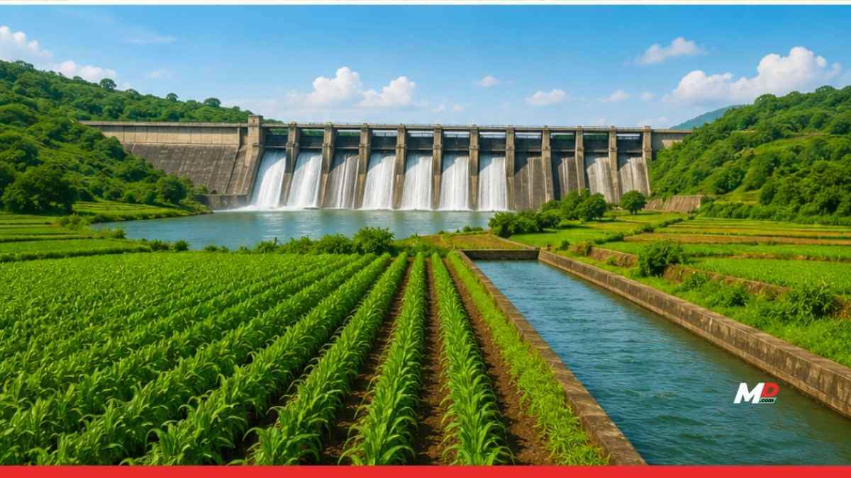 Maharashtra Waives Farmers’ Power Dues, Boosts Irrigation