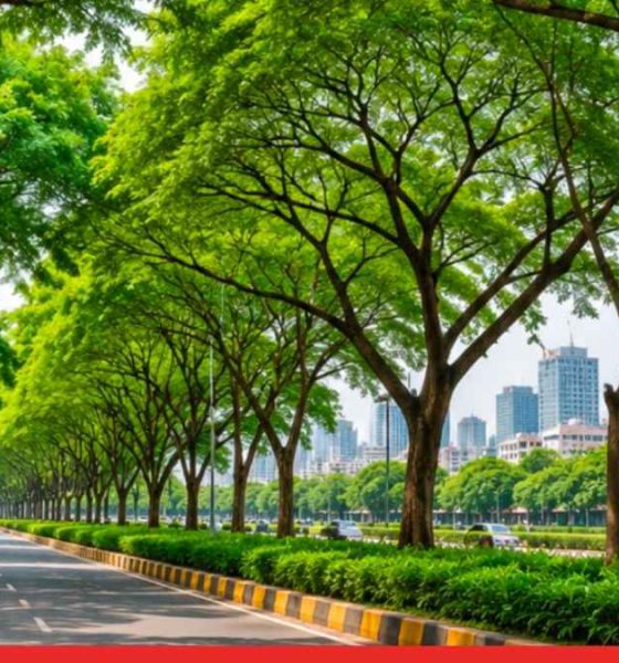 BMC Plans Scientific Survey and Health Assessment of Mumbai's Trees