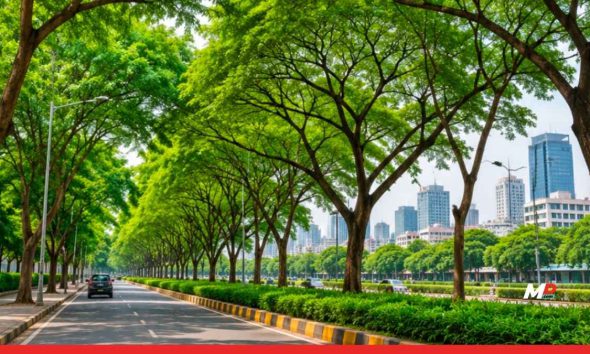 BMC Plans Scientific Survey and Health Assessment of Mumbai's Trees