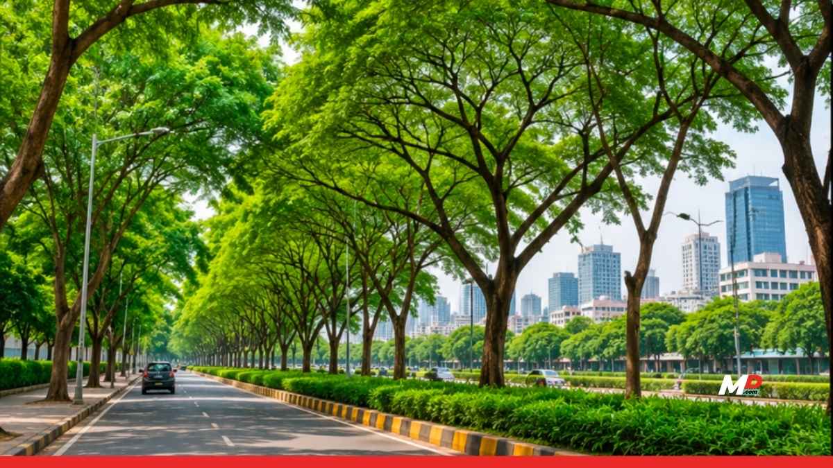 BMC Plans Scientific Survey and Health Assessment of Mumbai's Trees