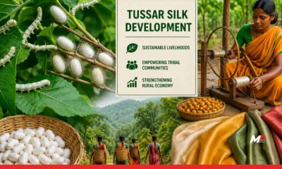 Maharashtra Signs MoU for Tussar Silk Project