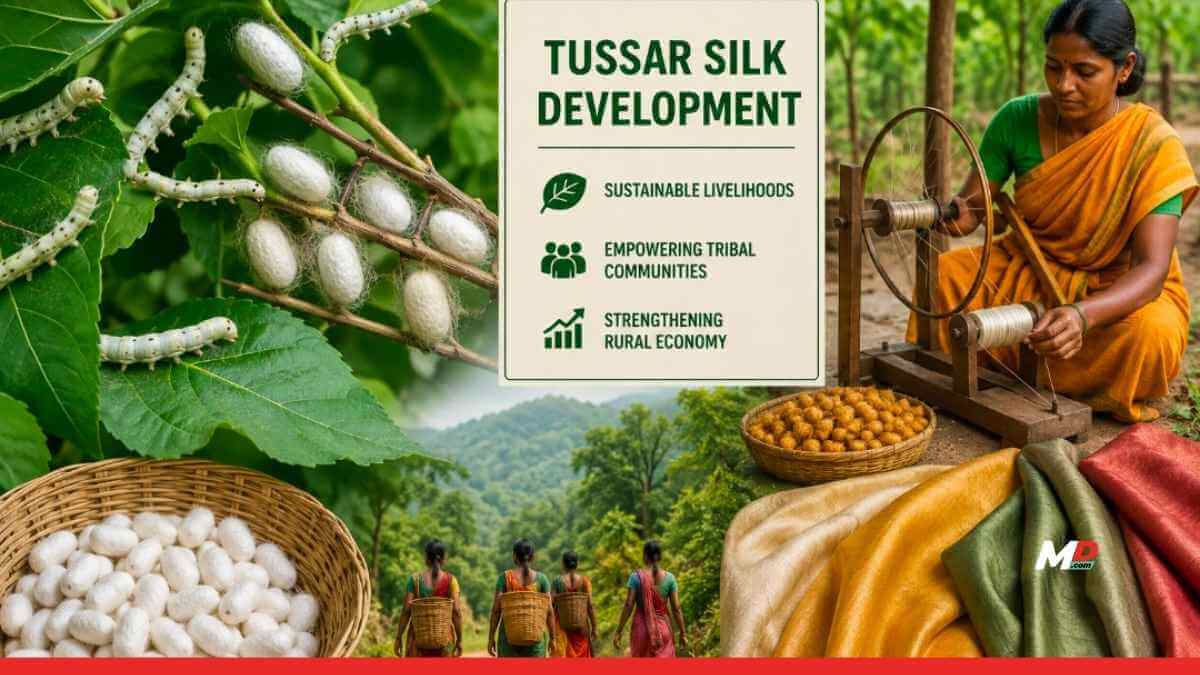 Maharashtra Signs MoU for Tussar Silk Project