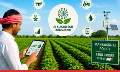 Maharashtra Cabinet Approves Managing Director Post for AI and Agritech Innovation Centre