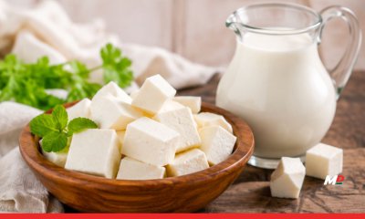 No More Synthetic Paneer on Your Plate! Maharashtra Issues State Wide Ban