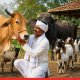 Livestock Insurance Scheme Introduced in Maharashtra; Farmers to Get 85% Premium Subsidy