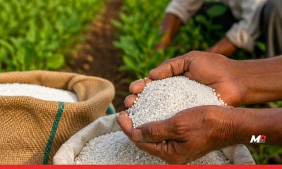 Linking Urea, DAP Sales to Other Products to Be Criminal