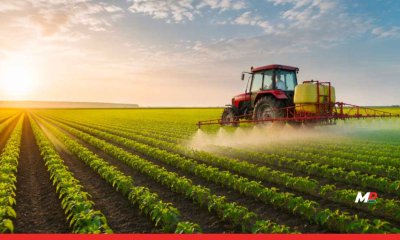 Maharashtra Agriculture Department Gets New Structure