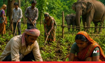 Bridging the Gap Between Communities and Conservation: Maharashtra Sanctions 4 Crore Under Jan-Van Development Scheme