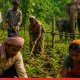 Bridging the Gap Between Communities and Conservation: Maharashtra Sanctions 4 Crore Under Jan-Van Development Scheme