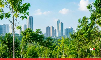 A New Chapter in the Green Revolution: Cities to Breathe Free with the 'Atal Anand Ghanvan' Project 